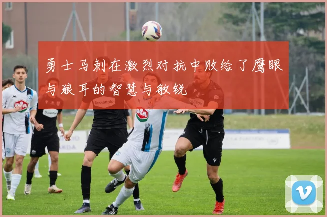 勇士马刺在激烈对抗中败给了鹰眼与狼耳的智慧与敏锐